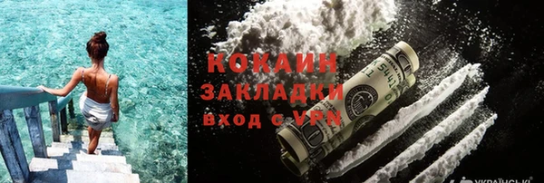 шишки Грязи